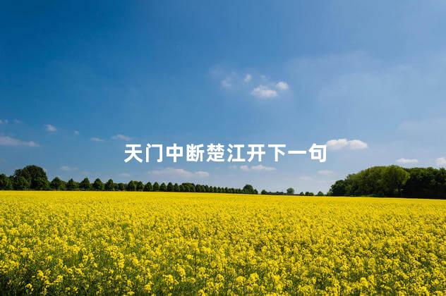  天门中断楚江开下一句